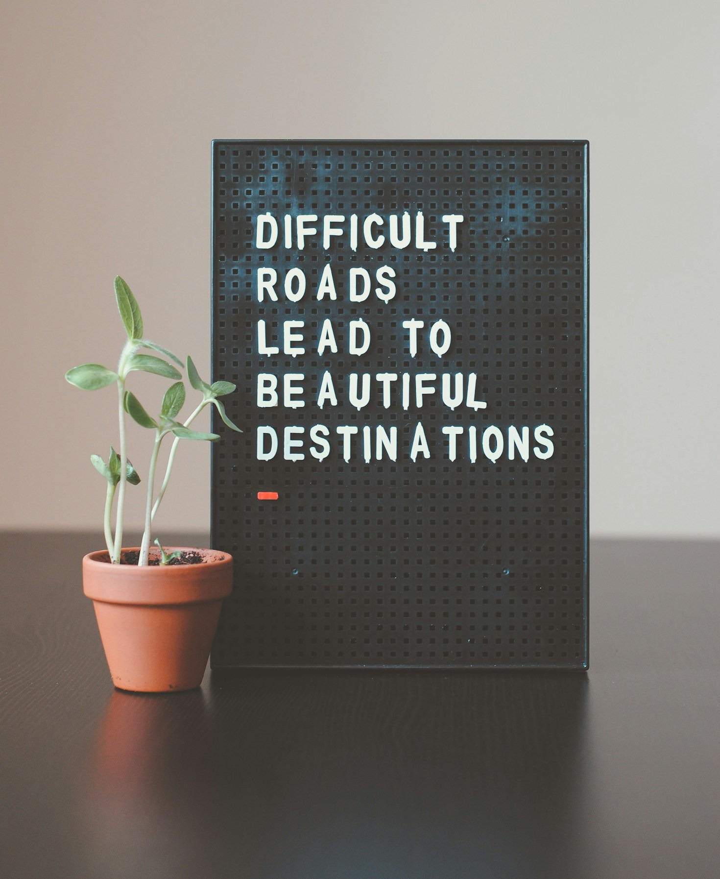 The Journey to Uncovering Root Causes in Wellness