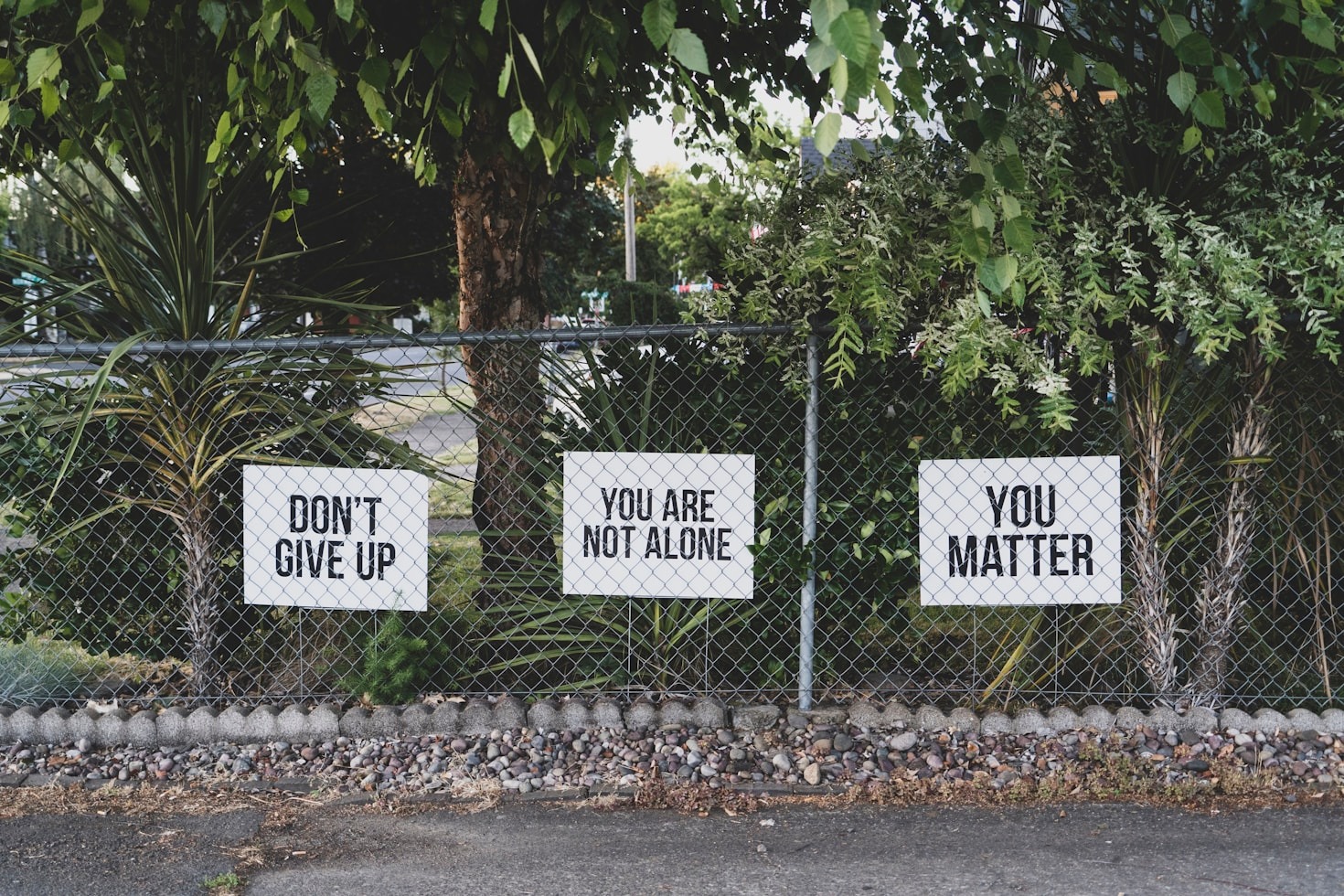 Navigating Challenges to Foster Long-Term Wellbeing